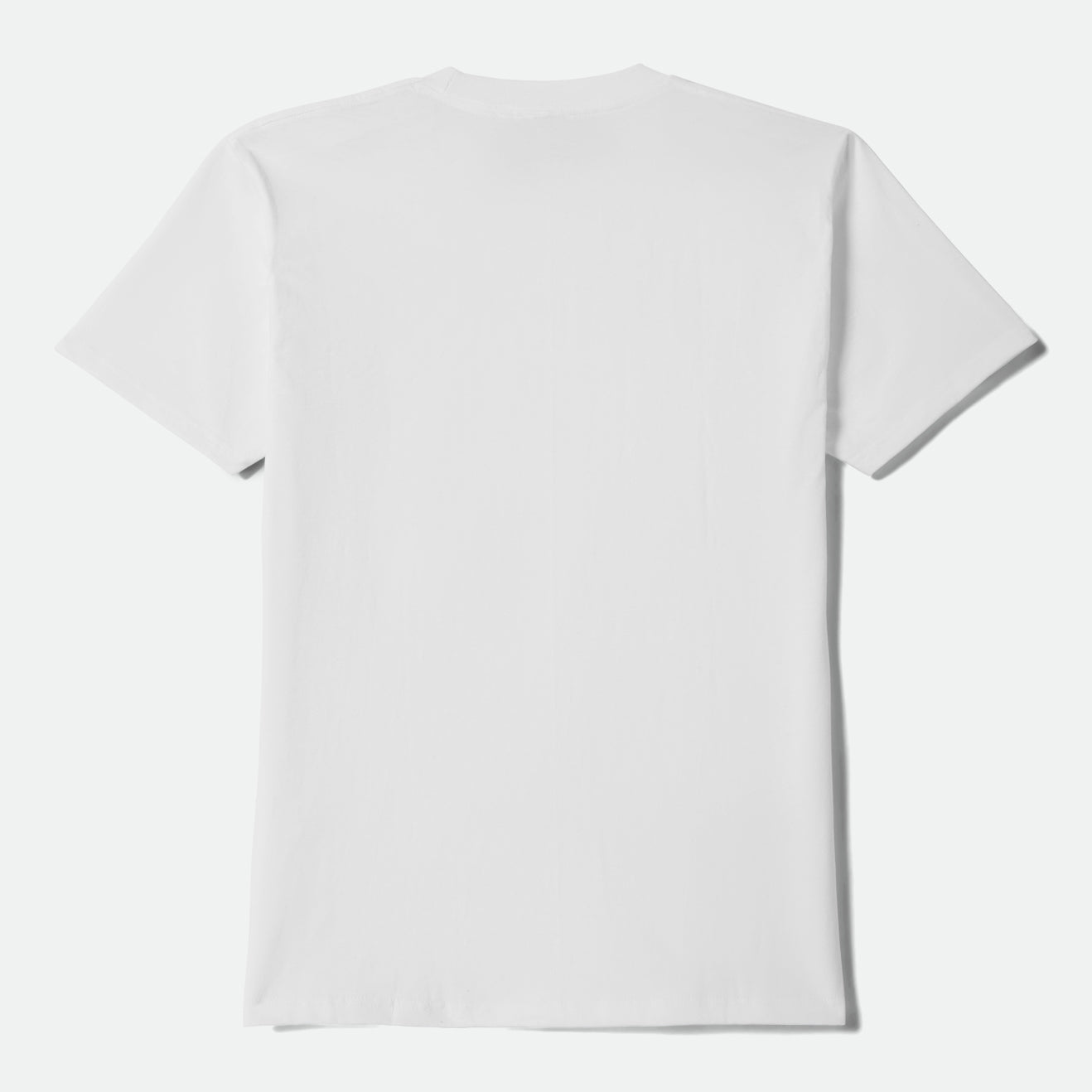 DUSTON S/S STD - WHITE